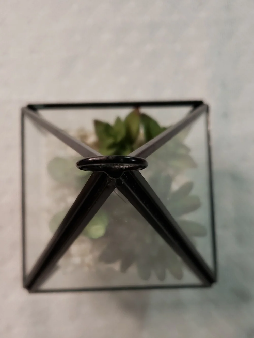 Source Unknown Black Pyramid Glass Terrarium with Green Faux Succulents